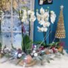 Îmbracă-ți casa în atmosfera magică a sărbătorilor cu un aranjament de Crăciun inedit, ce include eleganta orhidee într-o explozie de bucurie și rafinament