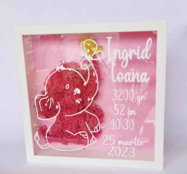 tablou cadoul bebelusului licheni stabilizati amintiri pentru o viata