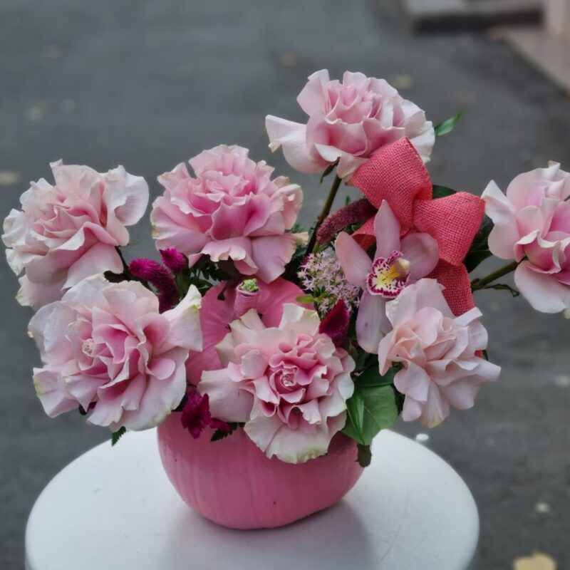 Dovleac decorativ „Roz Blând” – Flori naturale | Florăria Vows – Livrare Brăila